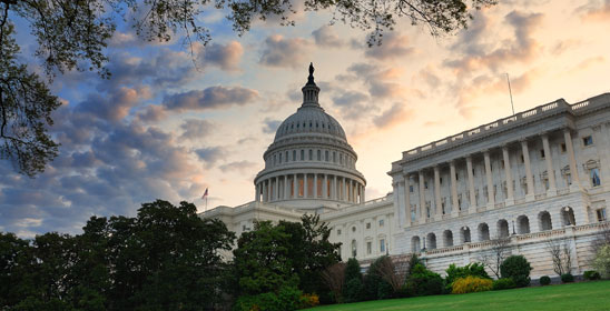 Government and Regulatory Services